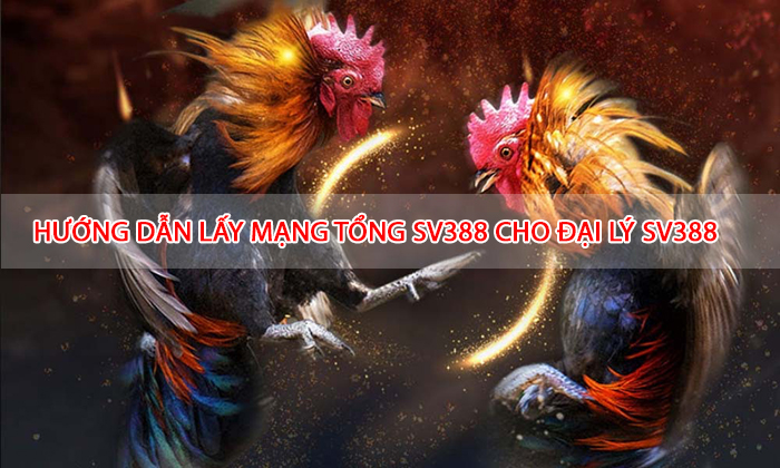 Lấy mạng đá gà SV388 cho đại lý