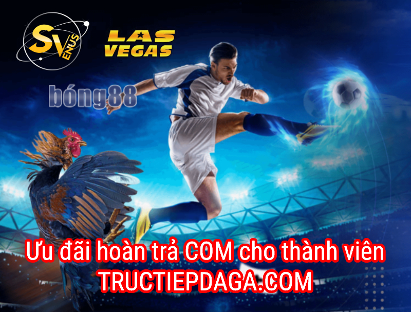 Ưu đãi hoàn trả COM cho thành viên Tructiepdaga.Com